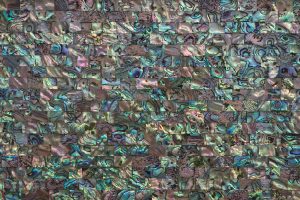 Green Abalone natural stone slabs
